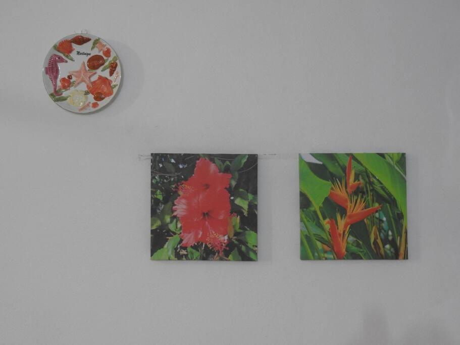 Studio Hibiscus-Ch Vue Sur Mer,Plage,Clim Les Anses-d'Arlets Eksteriør bilde